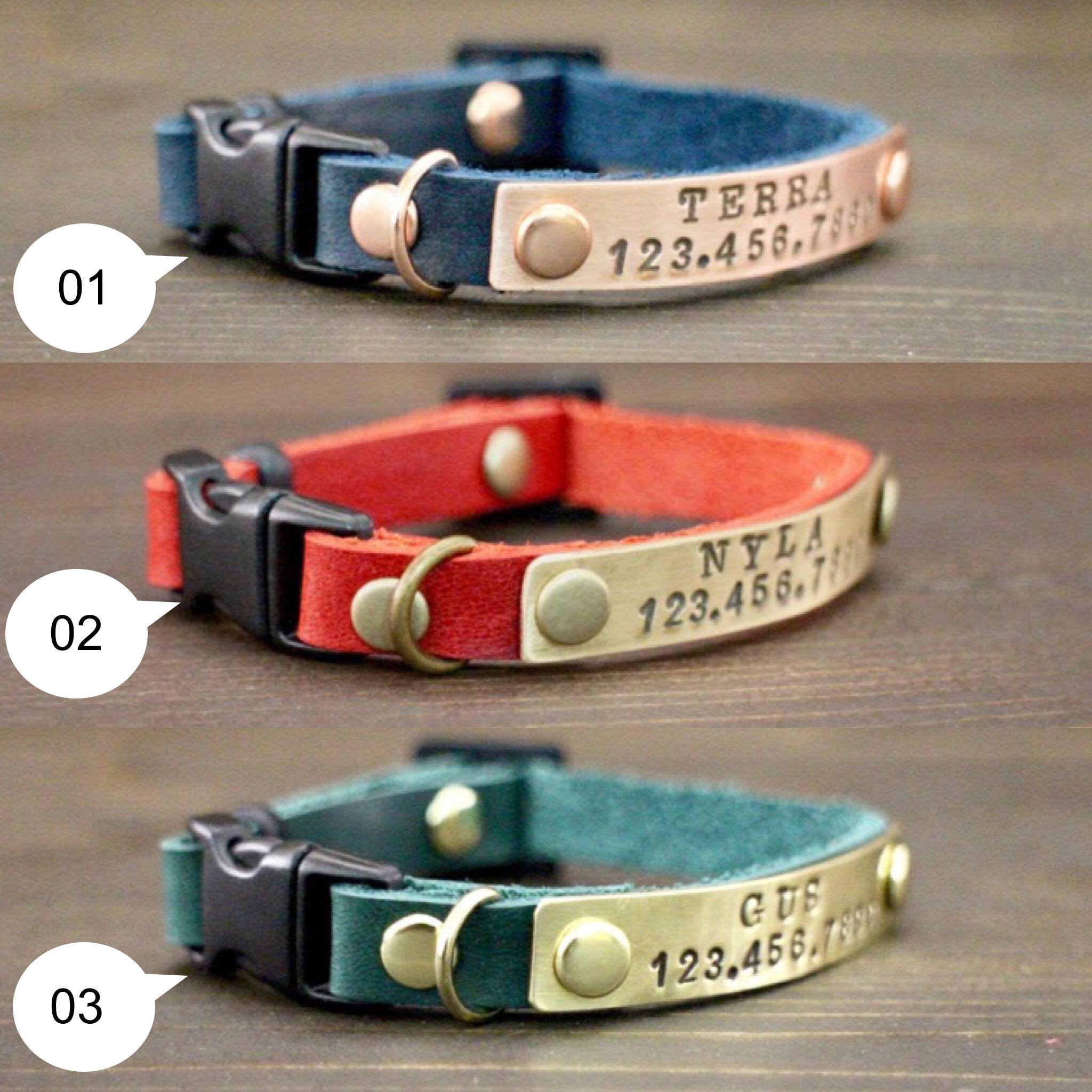 non breakaway cat collar