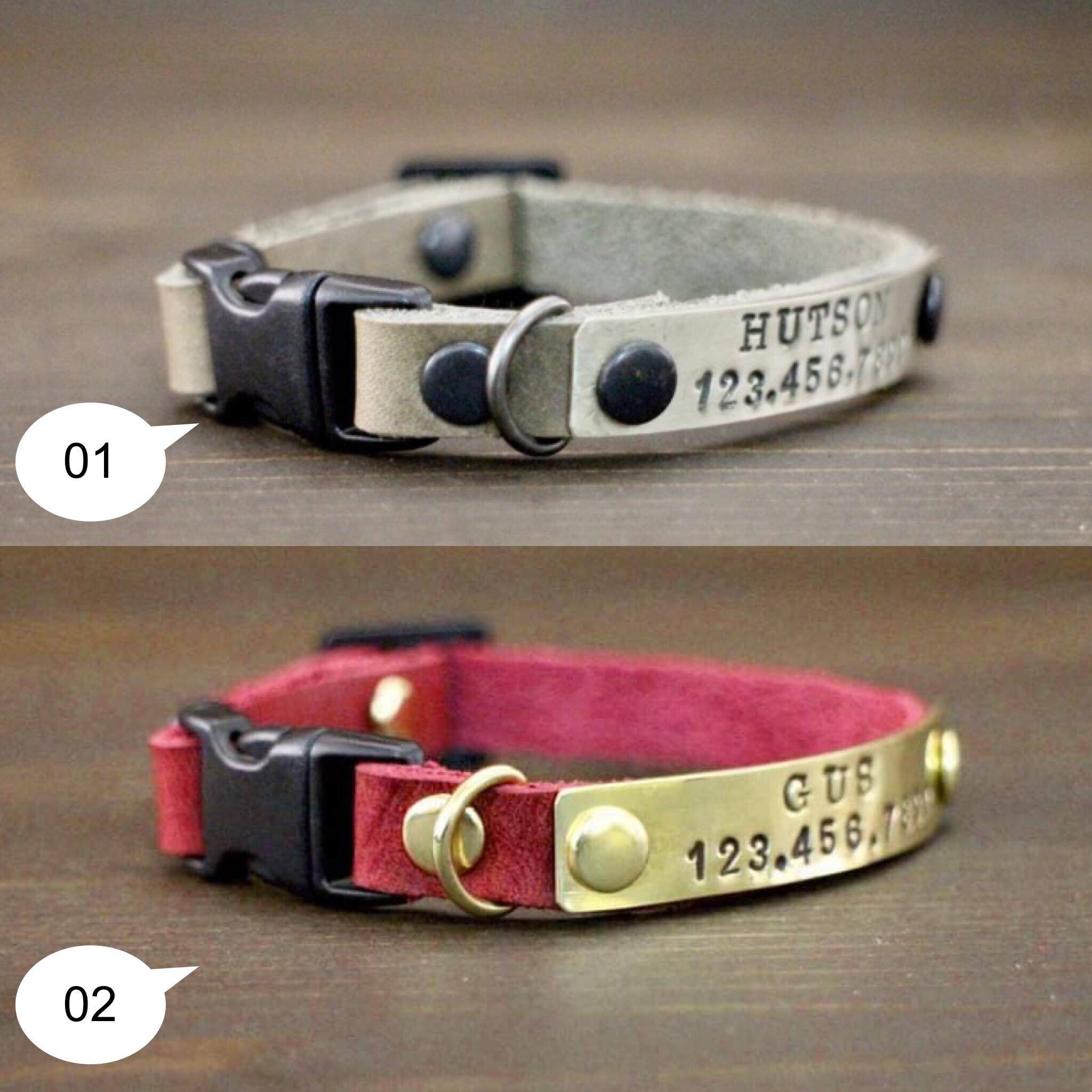 best cat collar reddit