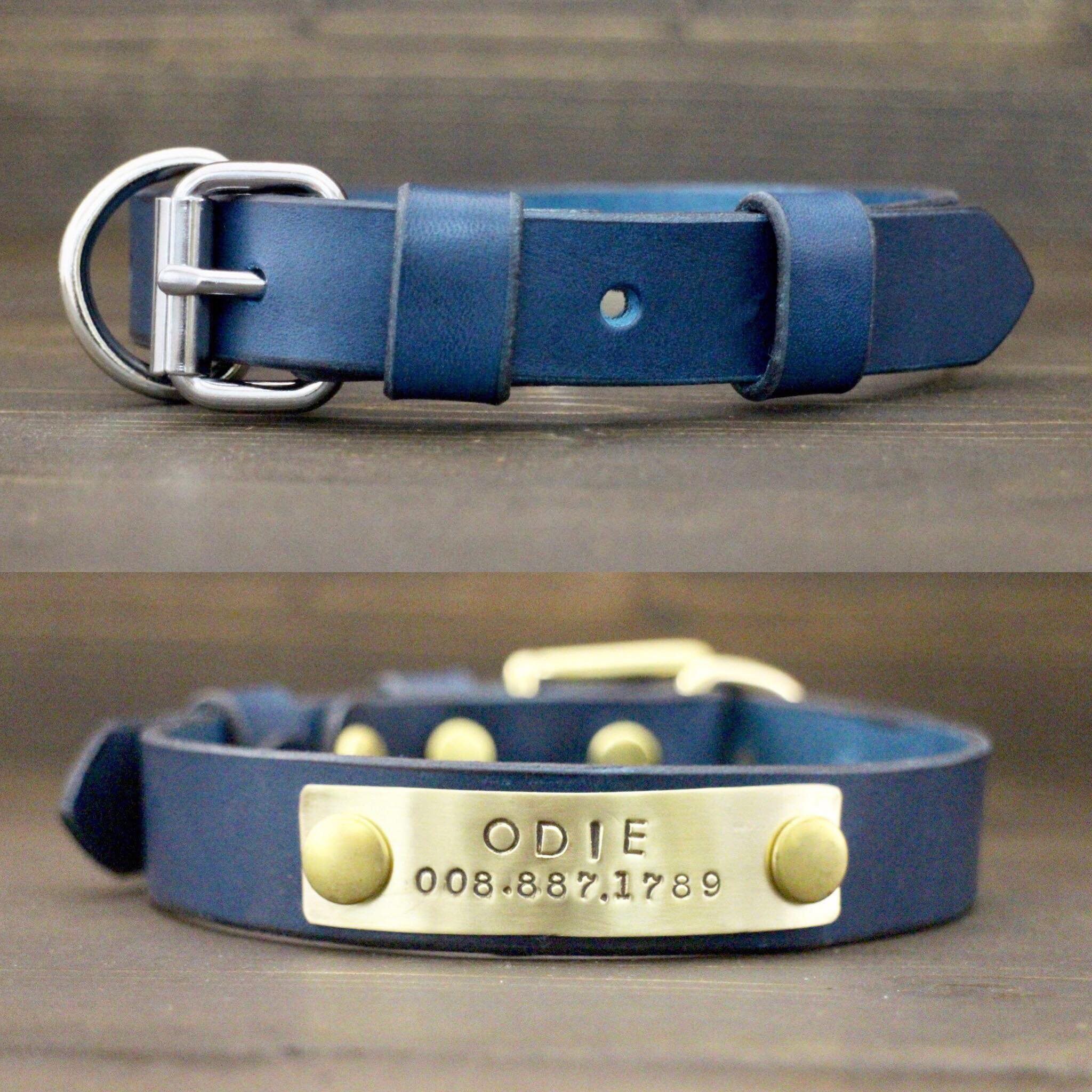 leather nameplate dog collar