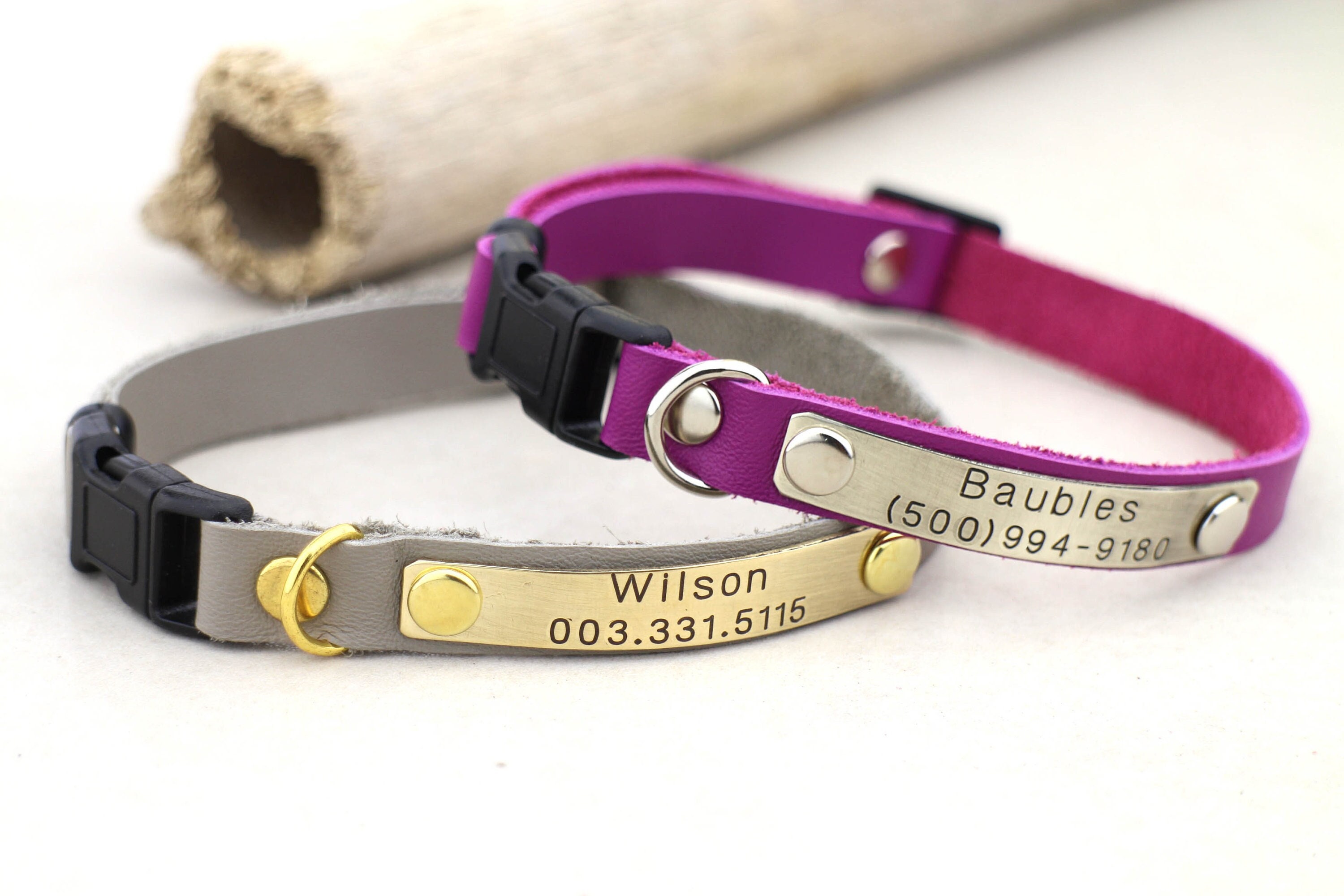 Can Cats Wear Small Dog Collars