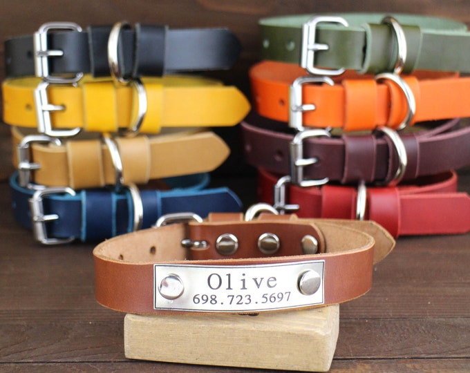 Personalized dog collar, Handmade leather dog  collar, Silver hardware, Pet supplies, Colourful collars, Dog collars