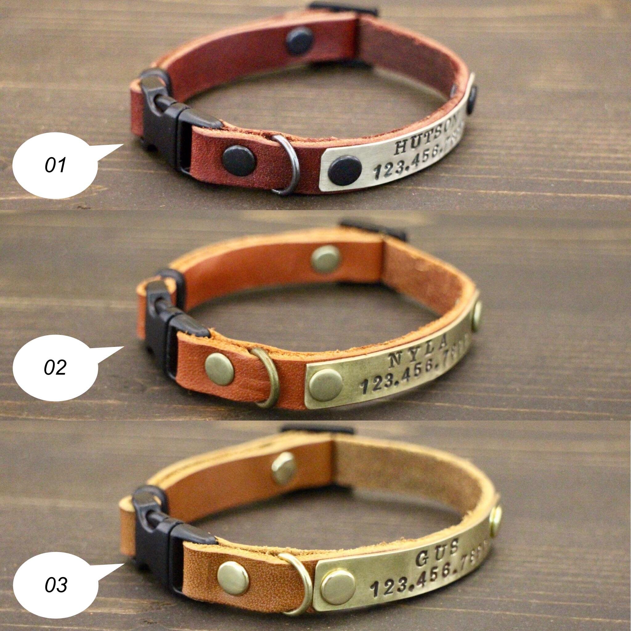 personalised kitten collar