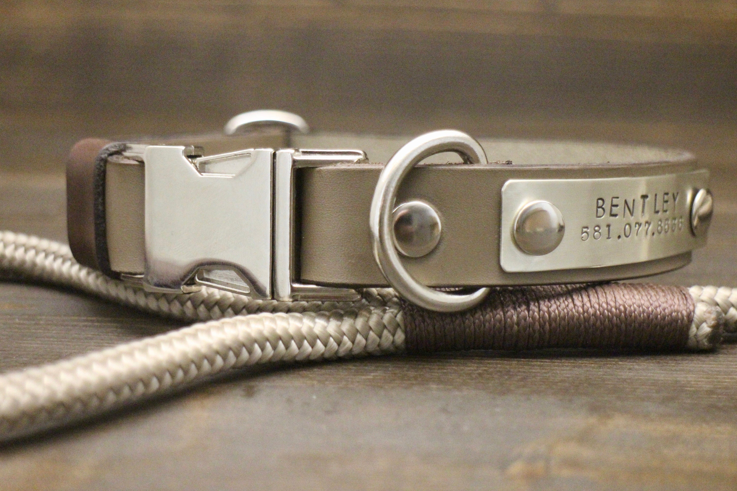 dog collar clips hardware