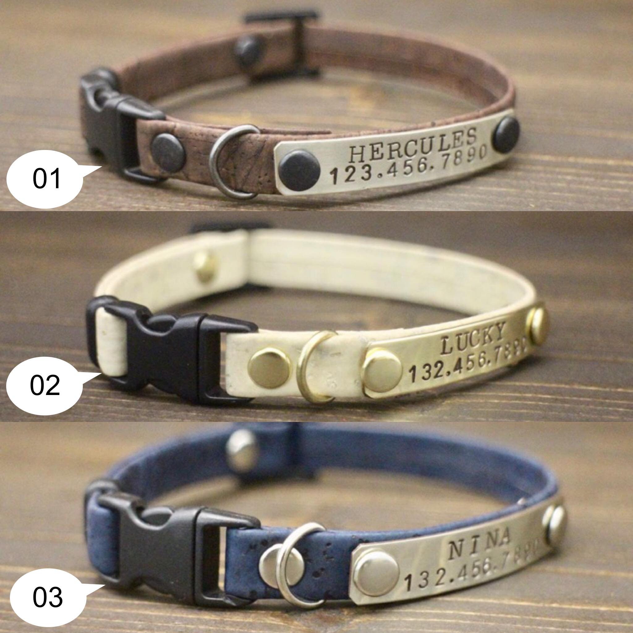 non breakaway cat collar