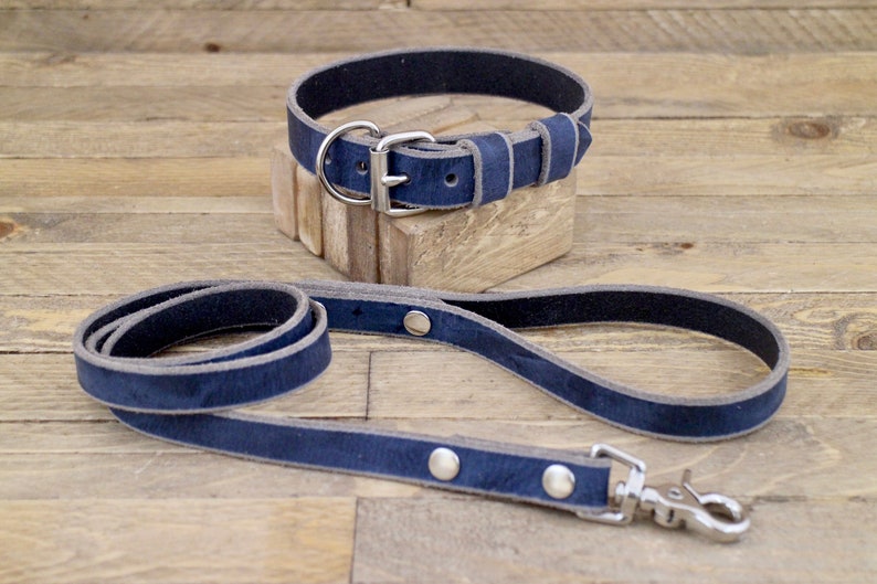 Descriptive essay the broken leash 05 picture