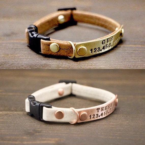 non breakaway cat collar