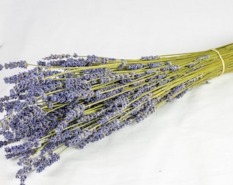 Hidcote Giant Lavender dried bundles