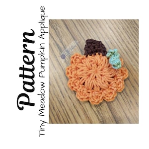 Crochet Pumpkin Applique, Crochet Pattern, Crochet Tiny Meadow Pumpkin, Crochet Applique, Fall Applique, Ltkcuties, DIGITAL DOWNLOAD only