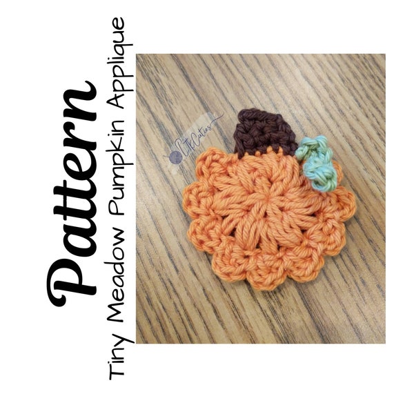 Crochet Pumpkin Applique, Crochet Pattern, Crochet Tiny Meadow Pumpkin, Crochet Applique, Fall Applique, Ltkcuties, DIGITAL DOWNLOAD only