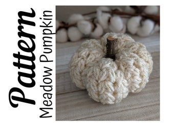 Crochet Pumpkin Pattern, Meadow Pumpkin PATTERN, Crochet Pattern, Crochet Fall, Crochet Cozy, Ltkcuties, Pumpkin Pattern, DIGITAL DOWNLOAD