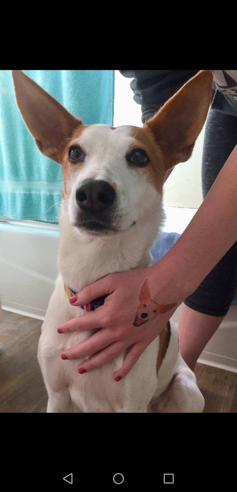 Temporary Tattoos of YOUR Pet one A4 Sheet Full I Can Draw Etsy