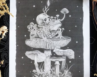 May include: A black and white drawing of a frog sitting on a mushroom with a skull on its head. The frog is surrounded by other mushrooms and there are stars in the background.