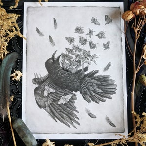 The Harbinger- print