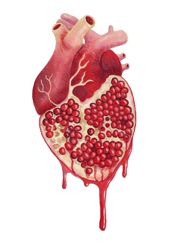 Pomegranate Heart print | Etsy