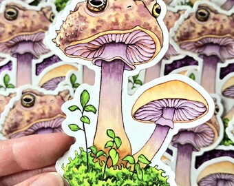 Mushroom Toad- sticker