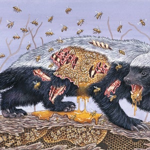Honey Badger Doesn't Give a Shit- Print - Etsy