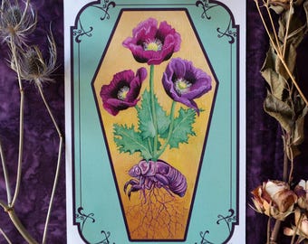 A Season of Rebirth- art print