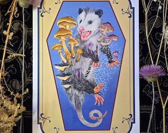 An Opossum Brought to Fruition- print
