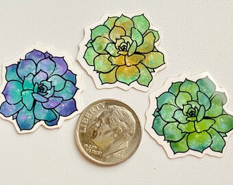 Succulent Sticker, Waterproof Glossy Vinyl Decal