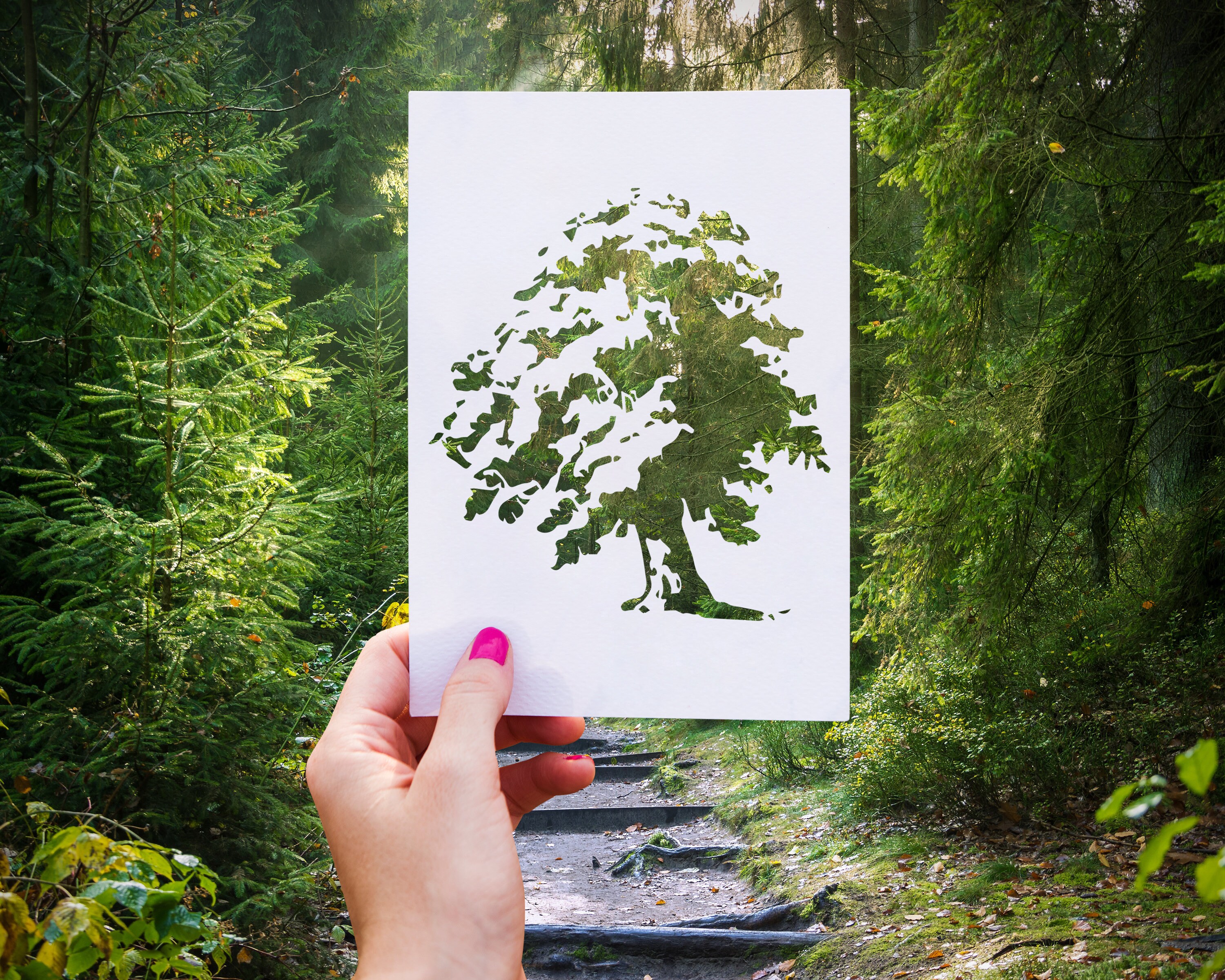 Storybook Tree Stencil / Nature Stencil / Craft Supplies / Etsy
