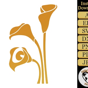 Calla Lily SVG / Calla Lily PNG / Calla Lily dxf / Calla Lily clipart / flor svg / flor clipart / flor png / arquivos svg para cricut