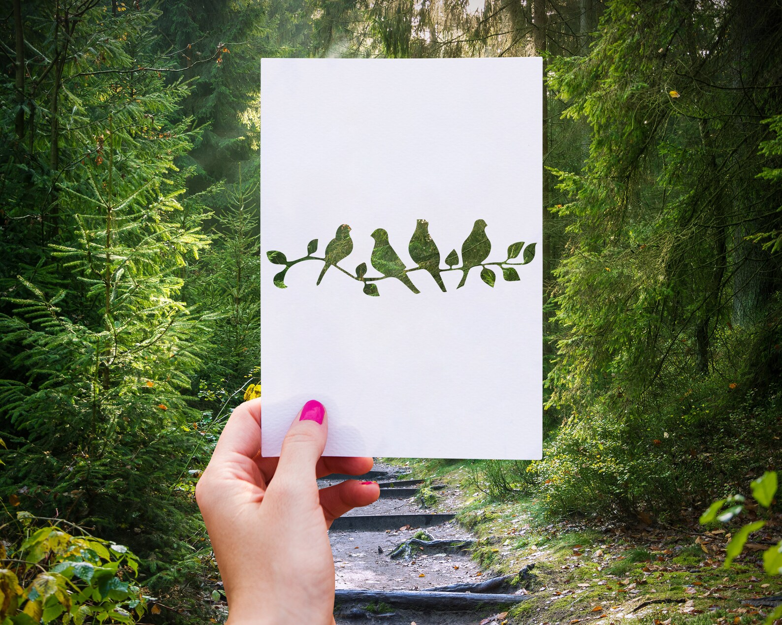 Bird on a branch stencil / Birds Stencil / Nature stencil / Etsy
