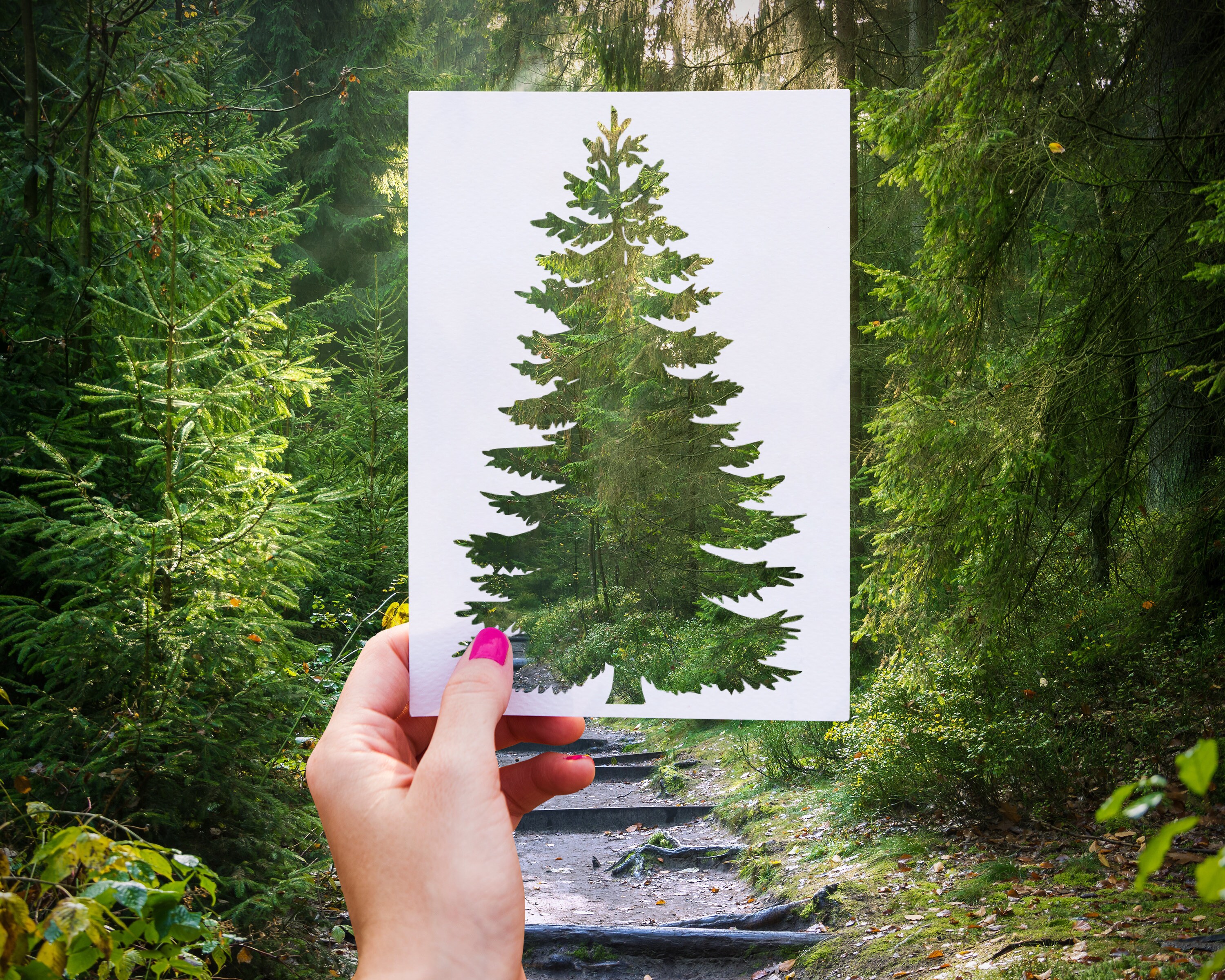 Fir Tree Stencil / Nature Stencils / Craft Supplies / Paint | Etsy