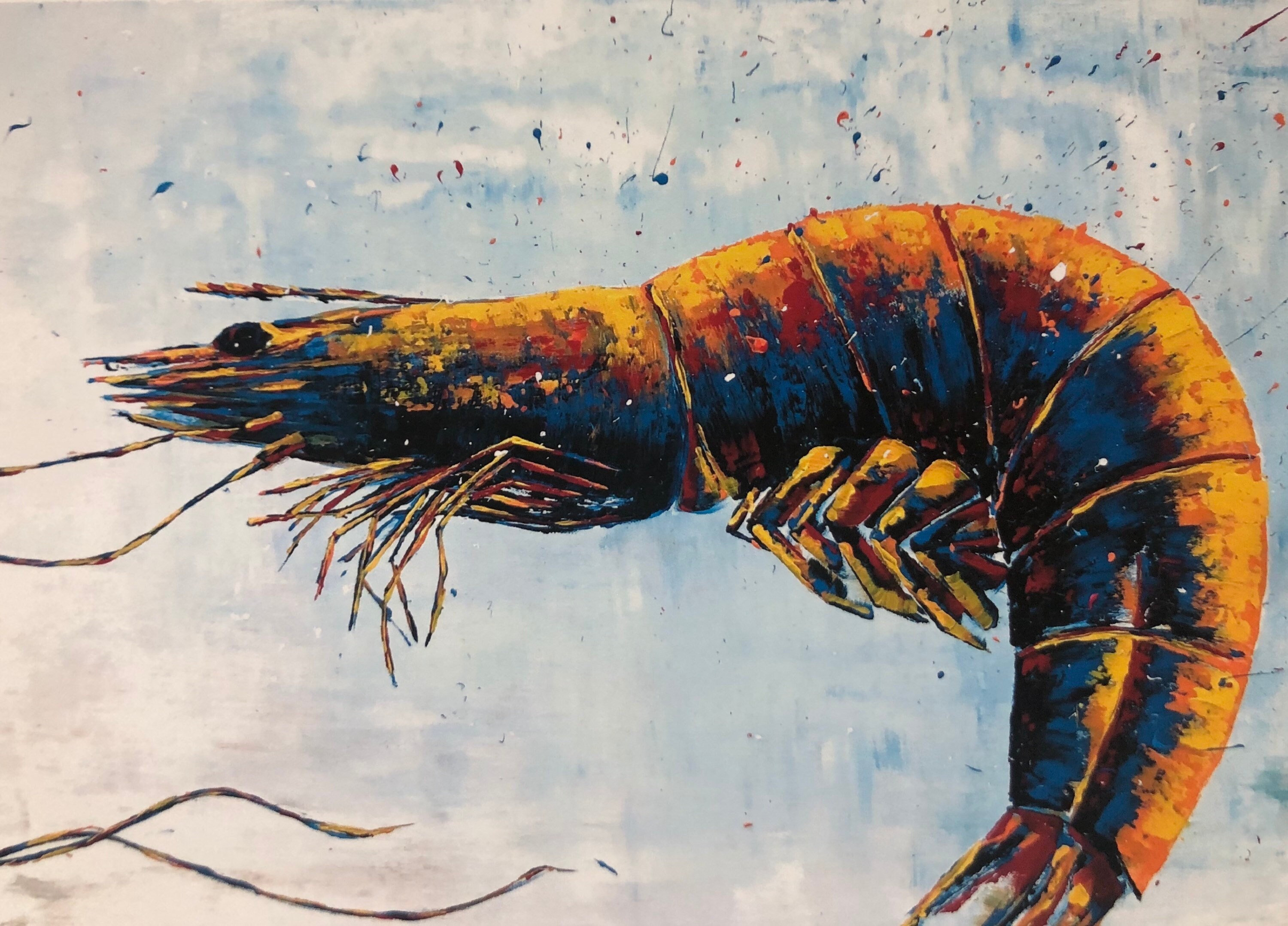 Shrimp art shrimp print a signed giclee print coastal etsy