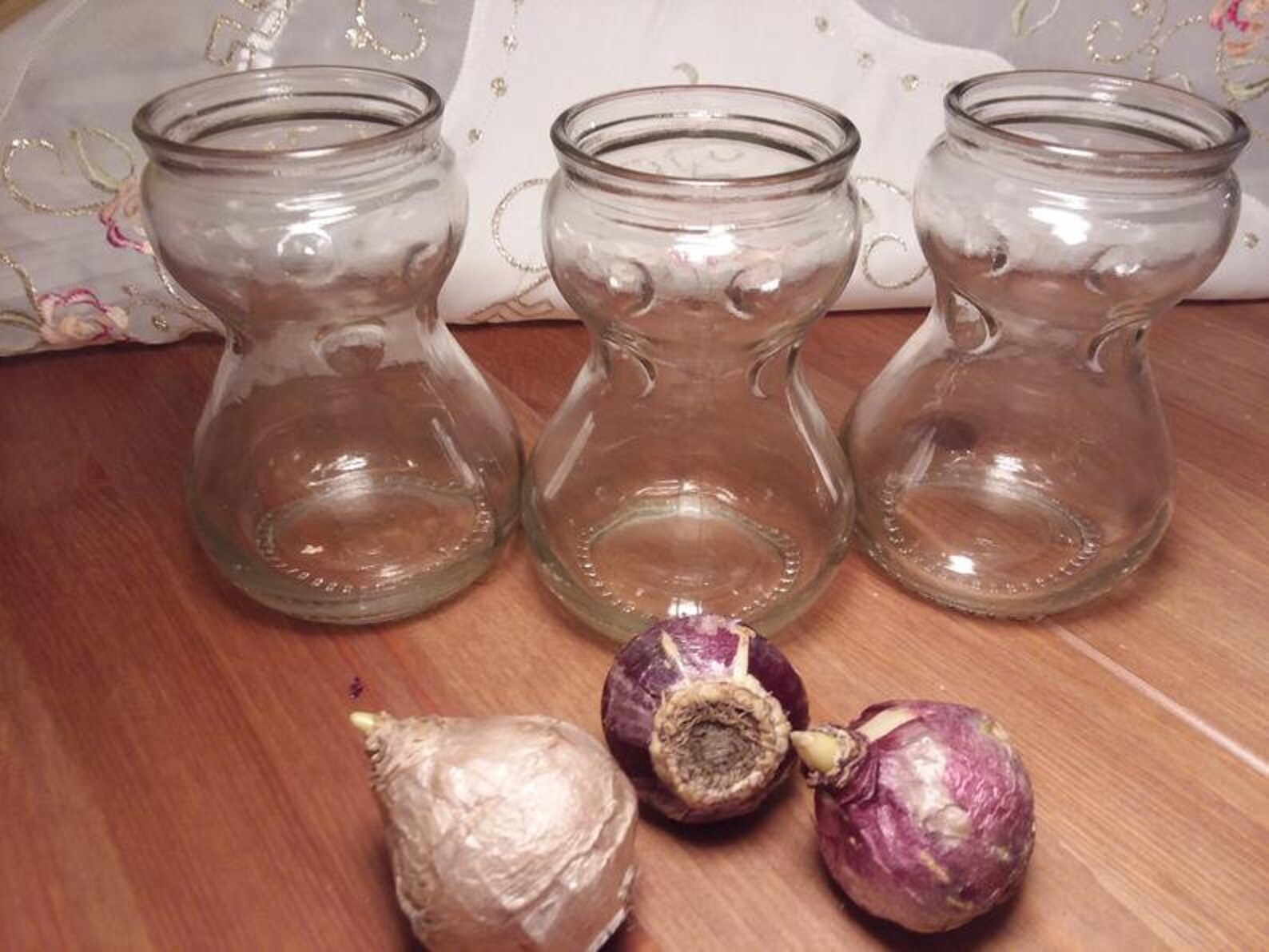 Preorder Clear Glass Hyacinth bulb forcing vase jar with blue Etsy