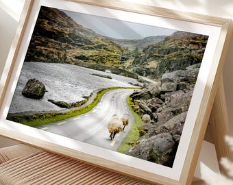 Ireland Print: Gap of Dunloe Photography, Sheep Print, County Kerry, Irish Landscape, (Digital Download)