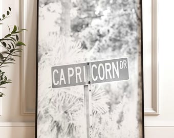 Capricorn Art: Zodiac Poster, Black and White Capricorn Road Sign, Girly Astrology Print, Horoscope Apartment Decor (Digital Download)