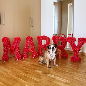 Cartas de propuesta de matrimonio rojas, enormes letras florales independientes, decoración de propuesta de matrimonio al aire libre, letras florales, decoración del día de San Valentín, San Valentín