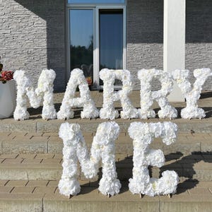 Proposta di matrimonio lettere decorazione fidanzamento fiori decorazione lettere rosse grande giardino indipendente decorazione per proposta all'aperto festa a sorpresa