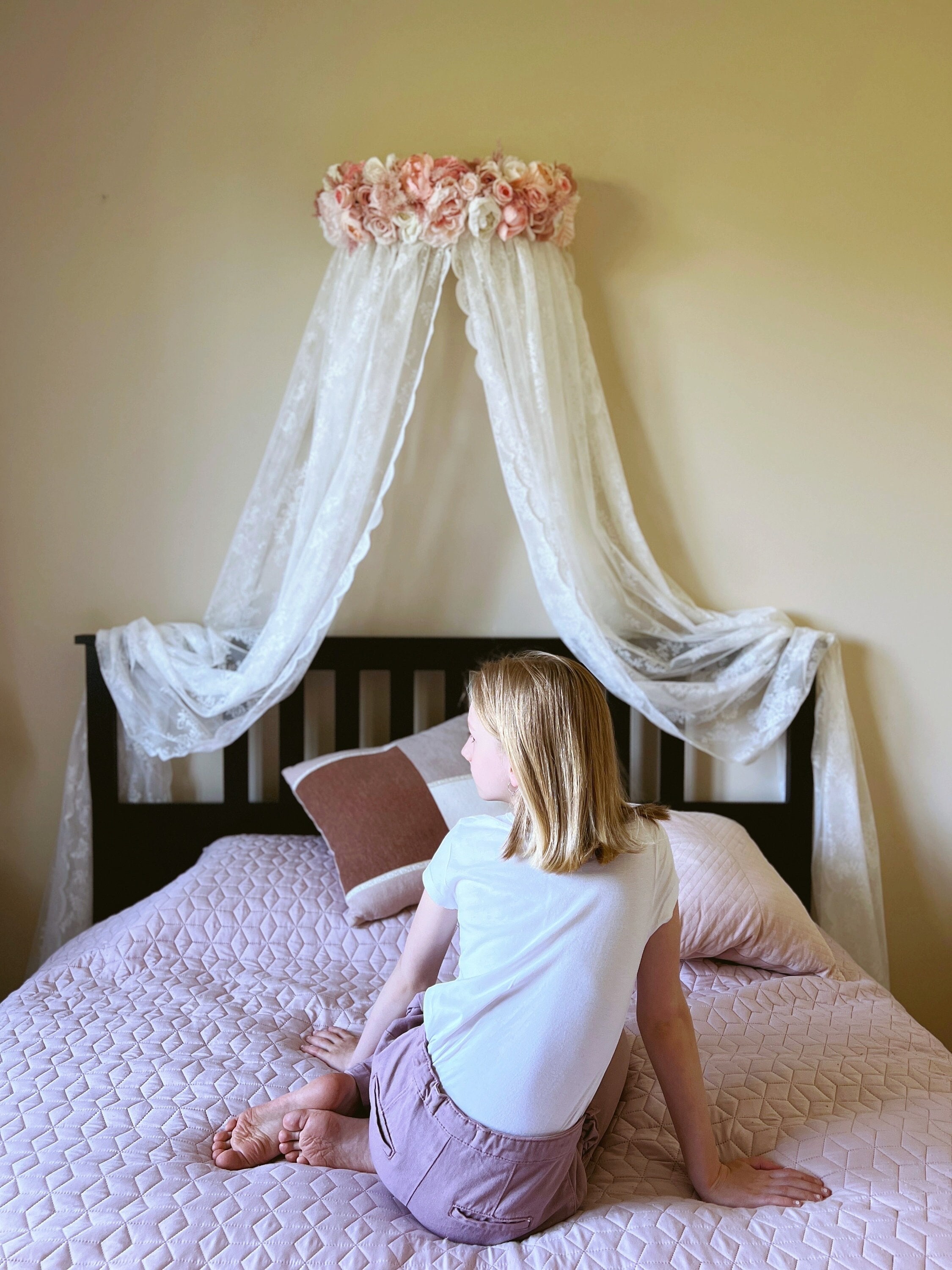 Hoop bed canopy discount