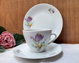 Seltman Weiden Bavaria tea trio decorated with tulips