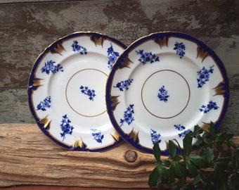 victorian paper plates