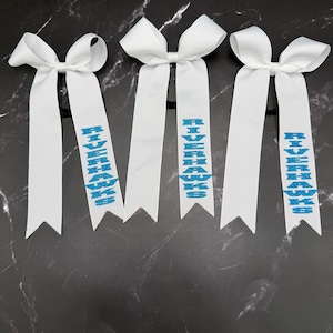 May include: Three white hair bows with long, ribbon tails. Each tail has the word "RIVERHAWKS" in blue glitter. The bows are on black elastic bands, suitable for ponytails or braids.