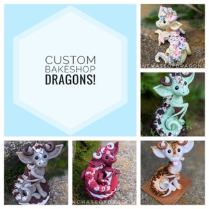 May include: Five custom-made dragon figurines, each decorated with different frosting and sprinkles. The dragons are made of polymer clay and are approximately 4 inches tall. The figurines are displayed on a variety of surfaces, including moss, rocks, and wood. The text "CUSTOM BAKESHOP DRAGONS!" is displayed in the center of the image.