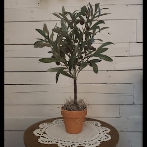 May include: A small olive tree with green leaves and dark brown olives in a terracotta pot. The pot is sitting on a white crocheted doily on a wooden table.