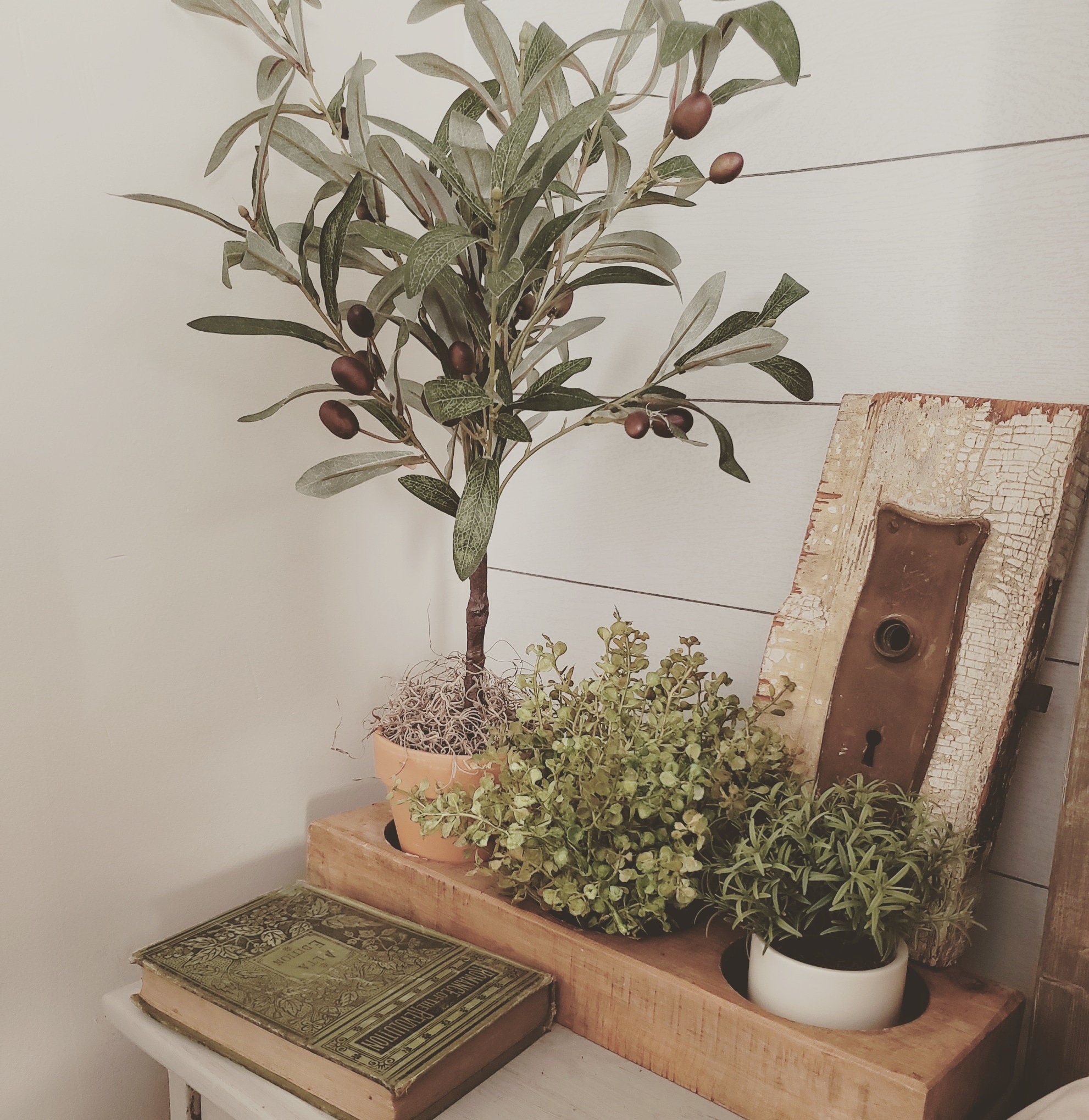 Handmade Artificial Mini Olive Tree / Green Leaf 20 in Etsy