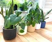 Planter - Plant Pot - Ceramic Stoneware - Minimalist - Curved Bottom - Indoor, Outdoor - 6, 8 inches diameter