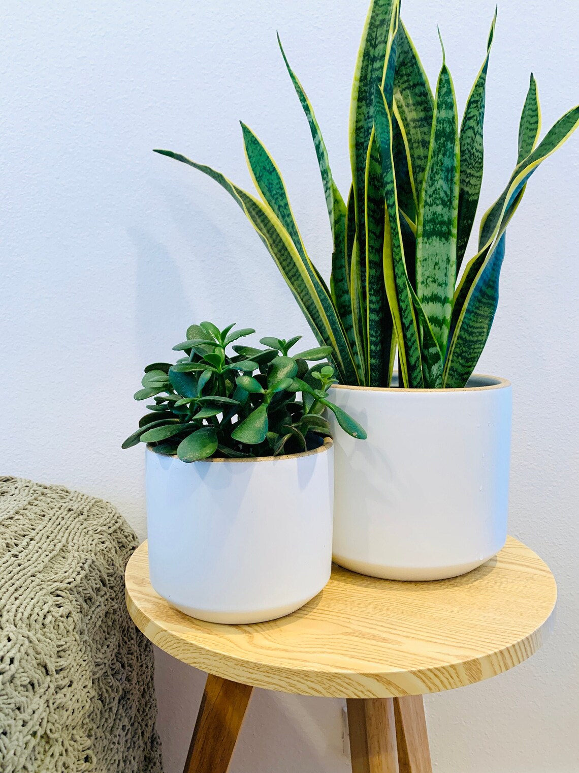 Planter Plant Pot Ceramic Stoneware Minimalist Curved Etsy