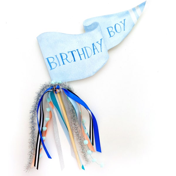 Birthday Boy Party Pennant Flag | Birthday Party Pennant | Birthday Banner | Birthday Wand | Birthday Flag | Birthday Pennant