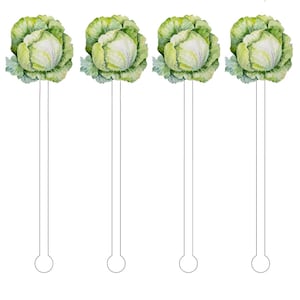 May include: Four green cabbage drink stirrers with a white stem. The cabbage is painted in a watercolor style.