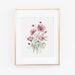 see more listings in the BOTANICAL COLLECTION section