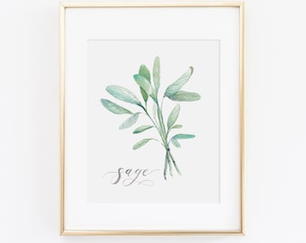 Sage Herb Watercolor Print | Watercolor Herb Print Set | Watercolor Herb Painting | Sage Artwork | Watercolor Herb Kitchen Decor