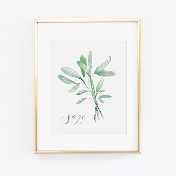 Sage Herb Watercolor Print | Watercolor Herb Print Set | Watercolor Herb Painting | Sage Artwork | Watercolor Herb Kitchen Decor