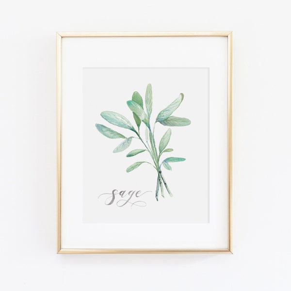 Sage Herb Watercolor Print | Watercolor Herb Print Set | Watercolor Herb Painting | Sage Artwork | Watercolor Herb Kitchen Decor