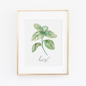 Basilikum Kräuter Aquarell Druck | Aquarell Kräuter Print Set | Aquarell Kräutermalerei | Basilikum Kunstwerk | Aquarell Kräuter Küchendeko