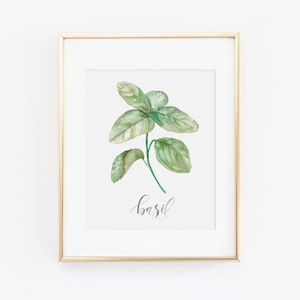 Basil Herb Watercolor Print | Watercolor Herb Print Set | Watercolor Herb Painting | Basil Artwork | Watercolor Herb Kitchen Decor